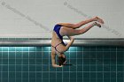 Women's Diving  Wheaton College Women’s Diving vs Mount Holyoke College. - Photo by Keith Nordstrom : Wheaton, Swimming & Diving